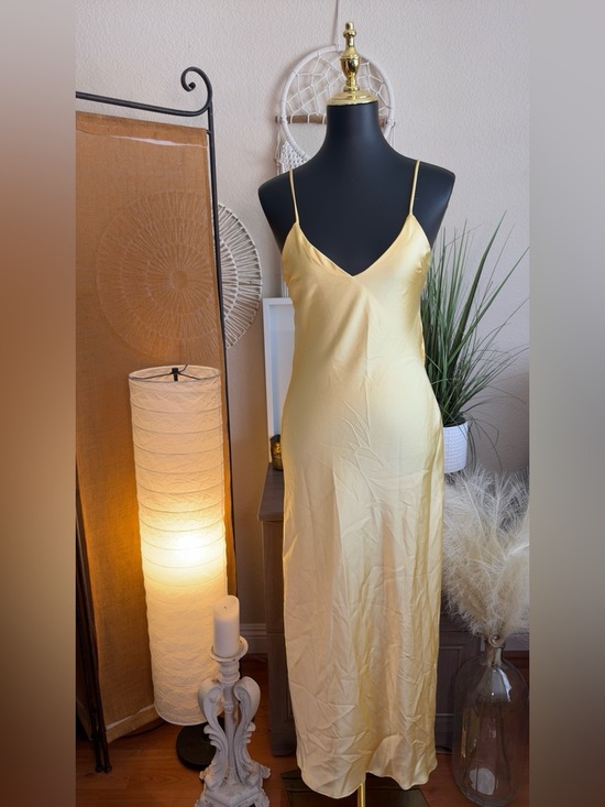 Dresses & Skirts - ZARA - Like New - with callout!